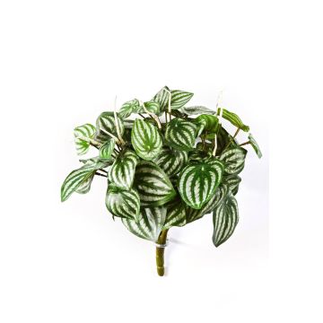 Artificial Fittonia JANDIRA, on spike, green-white, 12"/30cm