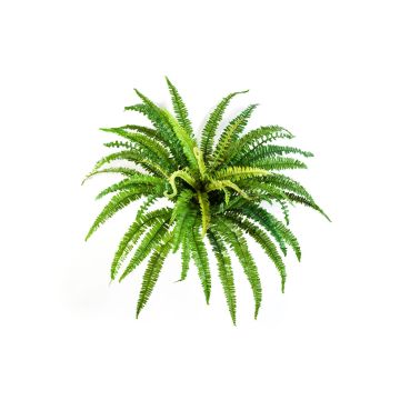 Artificial Lady fern LEAN, on spike, green, 22"/55cm, Ø 28"/70cm