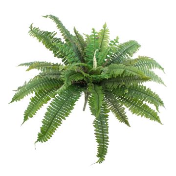 Fake Boston fern SAMUEL, on spike, green, 22"/55cm, Ø 31"/80cm