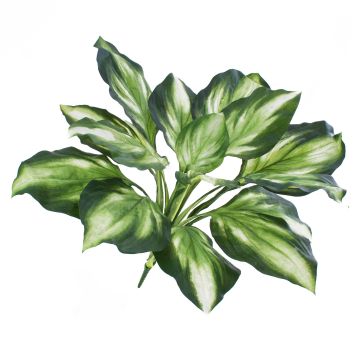 Artificial Hosta plant YAHIKO, on spike, green-white, 22"/55cm