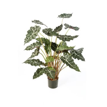 Artificial Alocasia Sanderiana SHIVA, green-white, 4ft/110cm