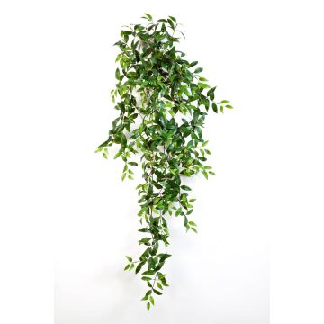 Artificial Tradescantia Fluminensis AURELIE, spike, green, 4ft/125cm