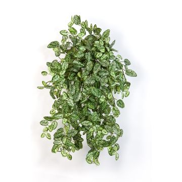 Artificial Polka dot plant MALAIKA, on spike, green-white, 20"/50cm