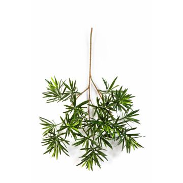 Artificial Podocarpus spray CHIKO, green, 26"/65cm