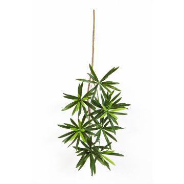 Artificial Podocarpus spray CHIKO, green, 20"/50cm