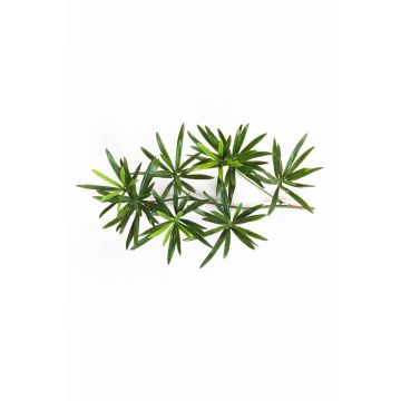 Artificial Podocarpus spray CHIKO, green, 16"/40cm