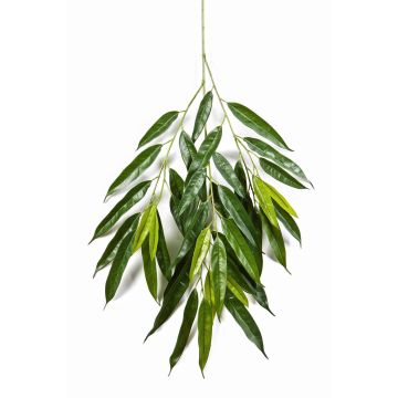 Artificial Ficus Longifolia spray RANJAN, green, 31"/80cm