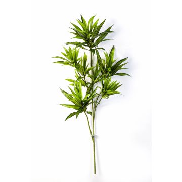 Artificial Dracaena reflexa branch MAYRA, green, 31"/80cm