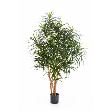 Fake Dracaena Anita KAYLIN, natural stems, green, 4ft/120cm