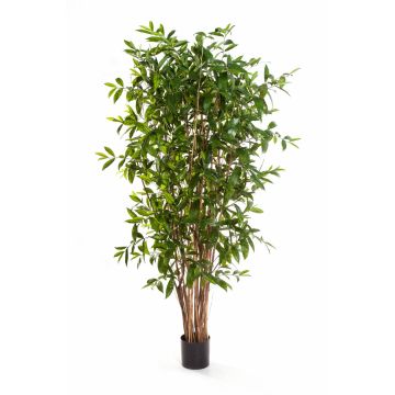 Plastic Dracaena Surculosa SIMBA, natural stems, green, 7ft/210cm