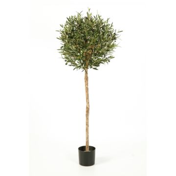 Artificial olive tree PLATON, real trunk, with fruits, 5ft/140cm, Ø22"/55cm
