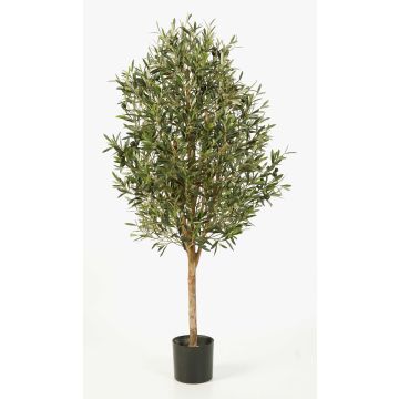 Fake Olive tree PLATON, real stem, with fruits, green, 5ft/140cm Fake Olive tree PLATON, real stem, with fruits, green, 5ft/140cm