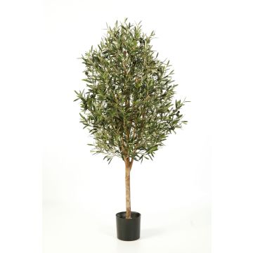 Fake Olive tree PLATON, real stem, with fruits, green, 5ft/140cm