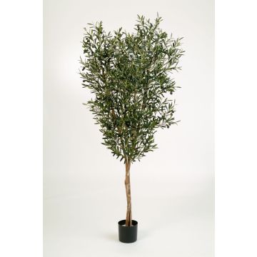 Fake Olive tree PHILIPOS, real stems, with fruits, green, 4ft/120cm