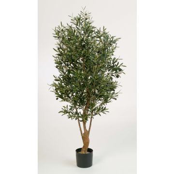 Fake Olive tree ALEXANDROS, real stem, with fruits, green, 5ft/150cm