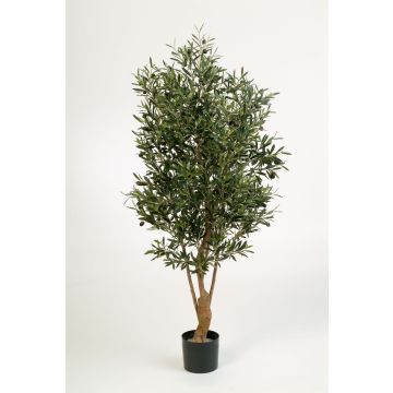 Fake Olive tree ALEXANDROS, real stem, with fruits, green, 5ft/150cm