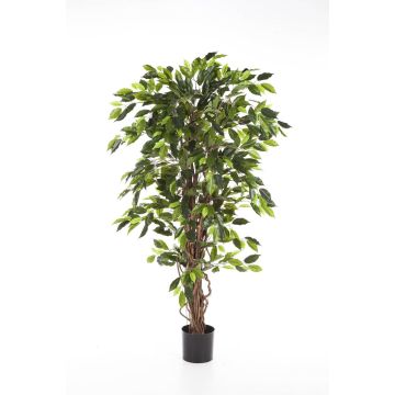 Artificial Ficus tree JARLAN, real stems, green, 4ft/120cm