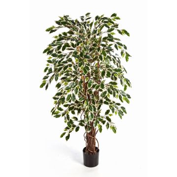 Artificial Ficus tree JARLAN, real stems, green-white, 4ft/120cm