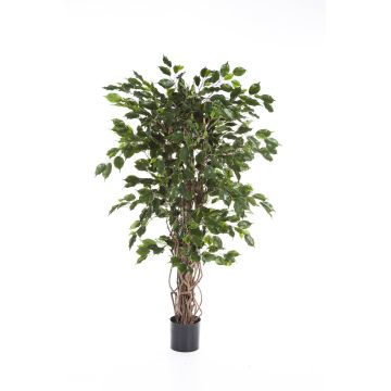 Fake Ficus tree AMELIO, natural stems, green, 5ft/150cm