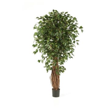Fake Ficus tree LUCIUS, real stems, green, 4ft/120cm