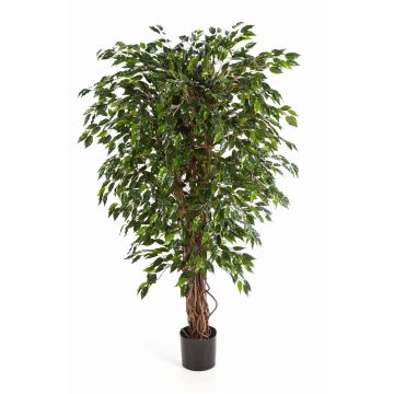 Artificial Ficus tree DAKU, natural stems, green, 4ft/120cm