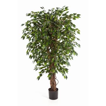 Artificial Ficus tree DAKU, natural stems, green, 5ft/150cm