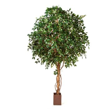 Fake Ficus tree RAMZO, real stems, in a pot, green, 10ft/315cm