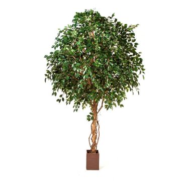 Fake Ficus tree RAMZO, real stems, in a pot, green, 12ft/360cm