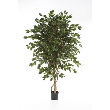 Fake Ficus tree DAMINO, real stems, green, 8ft/240cm
