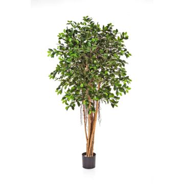 Fake ficus AURIOL with aerial roots, 2,160 leaves, green, 6ft/180cm
