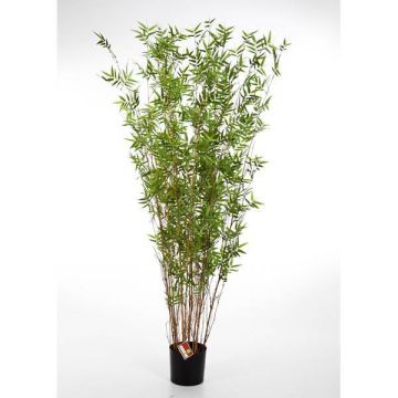 Artificial Bamboo plant DAYA, natural stems, green, 28"/70cm