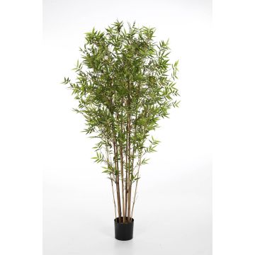 Fake Bamboo KANAYO, natural stems, green, 3ft/90cm