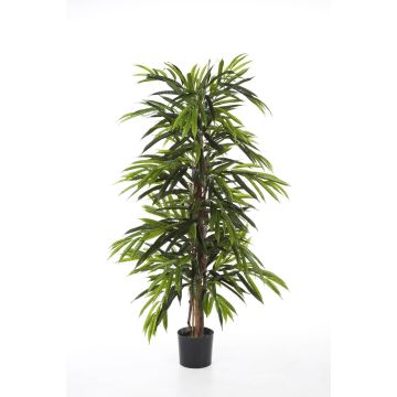 Fake Ficus Longifolia AKUMO, real stems, green, 4ft/120cm