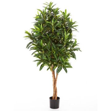 Artificial Ficus Longifolia AVERY, natural stems, green, 4ft/125cm
