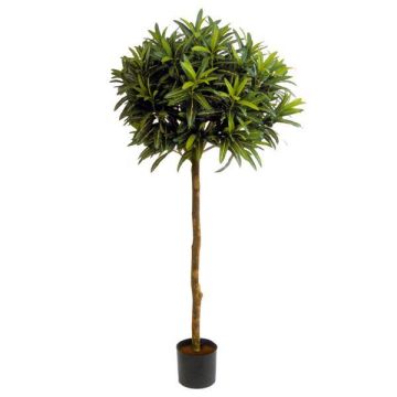 Artificial Ficus Longifolia ISABELLA, real stem, green, 5ft/150cm