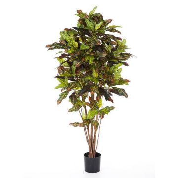 Artificial Croton BEQA, real stems, colourful, 4ft/120cm