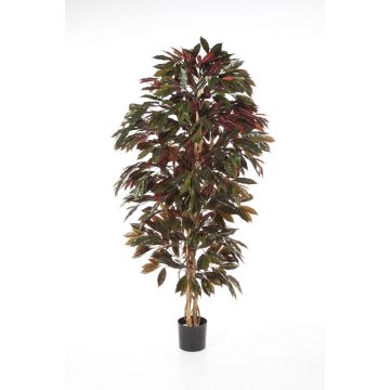 Artificial Croton CARA, natural stems, green-red, 5ft/150cm