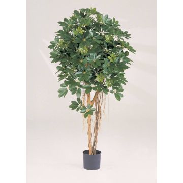 Artificial Schefflera SIENNA, real stems, green, 4ft/110cm