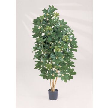 Artificial Schefflera SAMANTHA, real stems, green, 4ft/110cm
