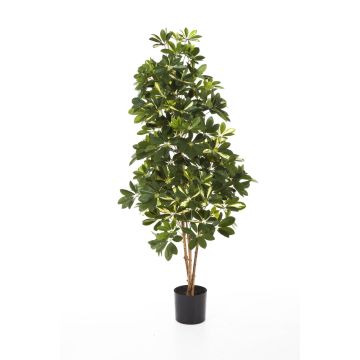 Artificial Schefflera SAMANTHA, real stems, green-white, 6ft/170cm