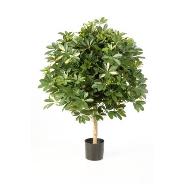 Fake Schefflera ANTHONY, natural stem, green-white, 4ft/110cm, Ø 3ft/90cm