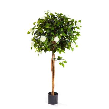Fake Camellia tree ERINA, real stems, with flowers, white, 4ft/130cm