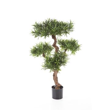 Artificial Podocarpus TITUS, natural stem, green, 4ft/110cm
