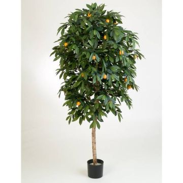 Artificial Orange tree CELIA, real stem, with fruits, green, 4ft/110cm