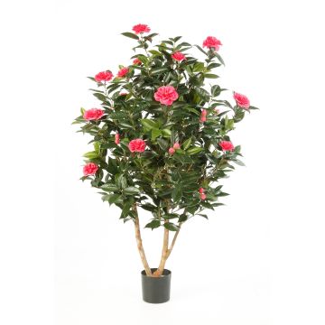 Artificial Camellia tree KAORI, real stems, flowers, pink, 5ft/150cm