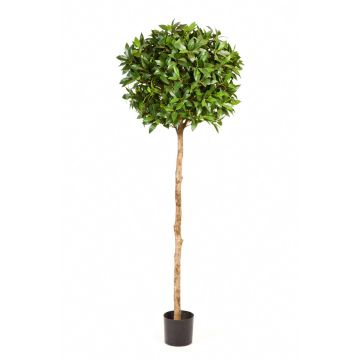 Fake Laurel ball tree CAIUS, real stem, green, 5ft/140cm, Ø 16"/40cm
