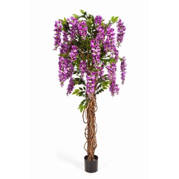 Artificial Wisteria ARIANA, real stems, blooms, purple, 6ft/180cm