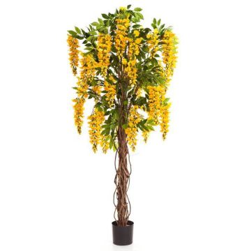 Artificial Laburnum tree ARIANA, real stems, blooms, yellow, 6ft/180cm
