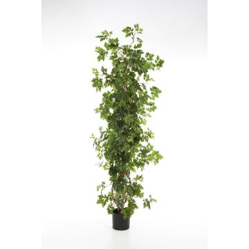 Artificial Grapevine NIKA, natural stems, green, 5ft/160cm
