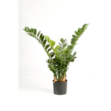 Artificial Zamioculcas Zamiifolia AKONO, green, 3ft/100cm